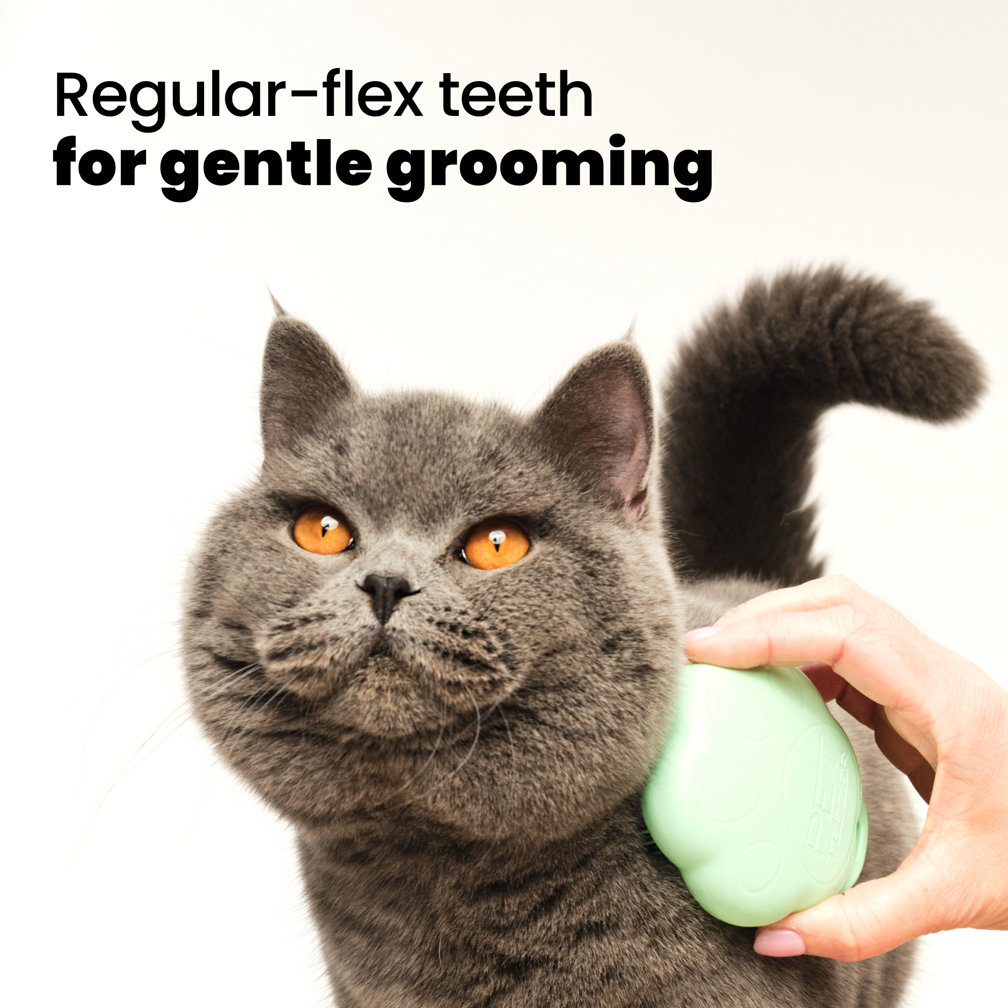 tangle-teezer-cat-grooming-brush-katzenb-rste-in-pfotenform-mit-two-tier-zahntec image 4