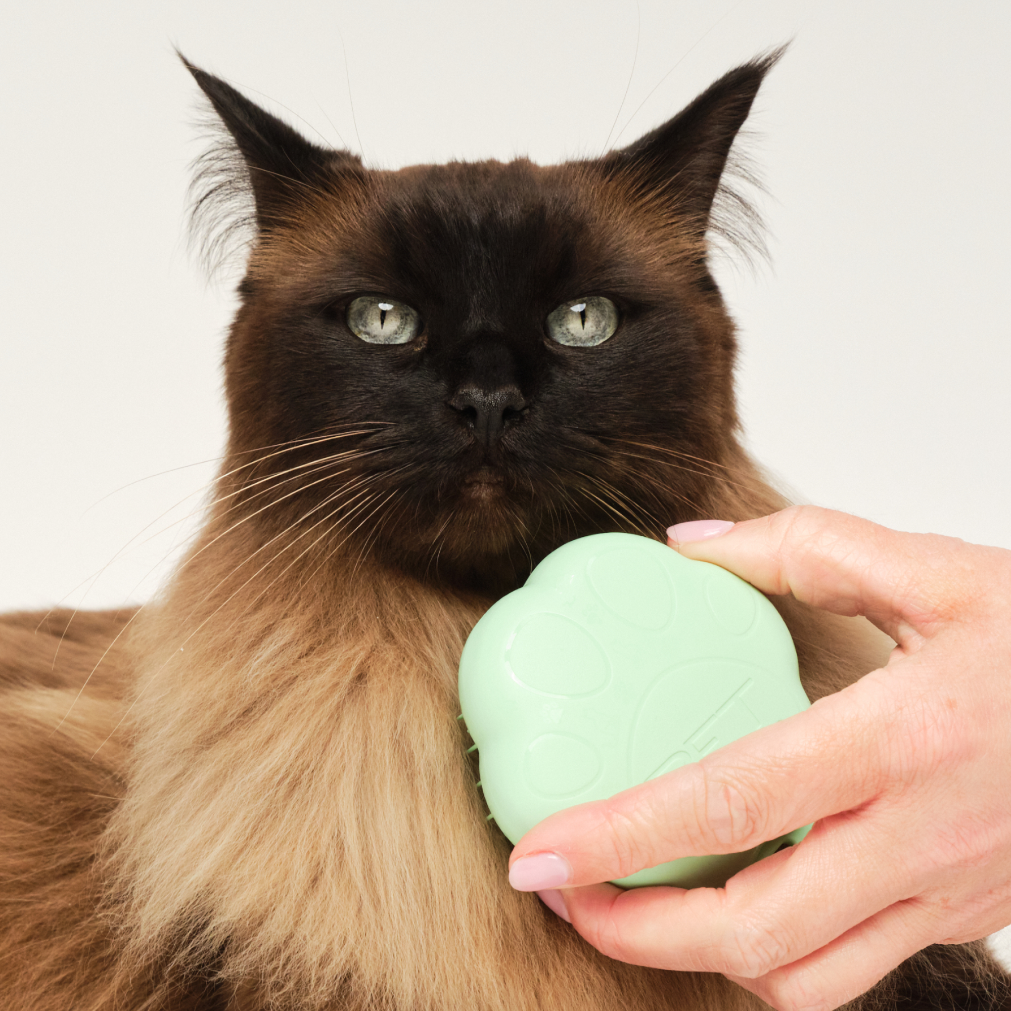 tangle-teezer-cat-grooming-brush-katzenb-rste-in-pfotenform-mit-two-tier-zahntec image 6