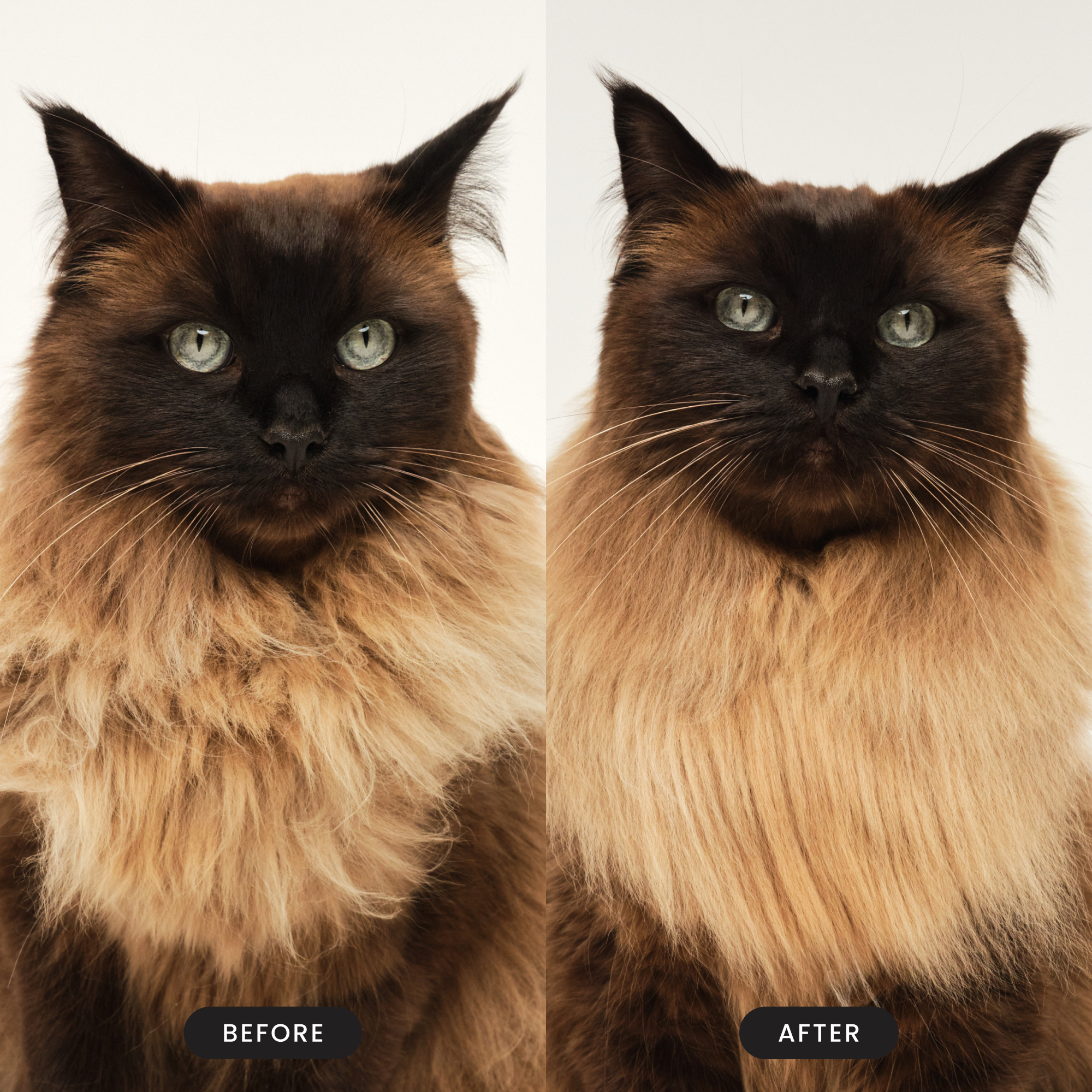 tangle-teezer-cat-grooming-brush-katzenb-rste-in-pfotenform-mit-two-tier-zahntec image 7