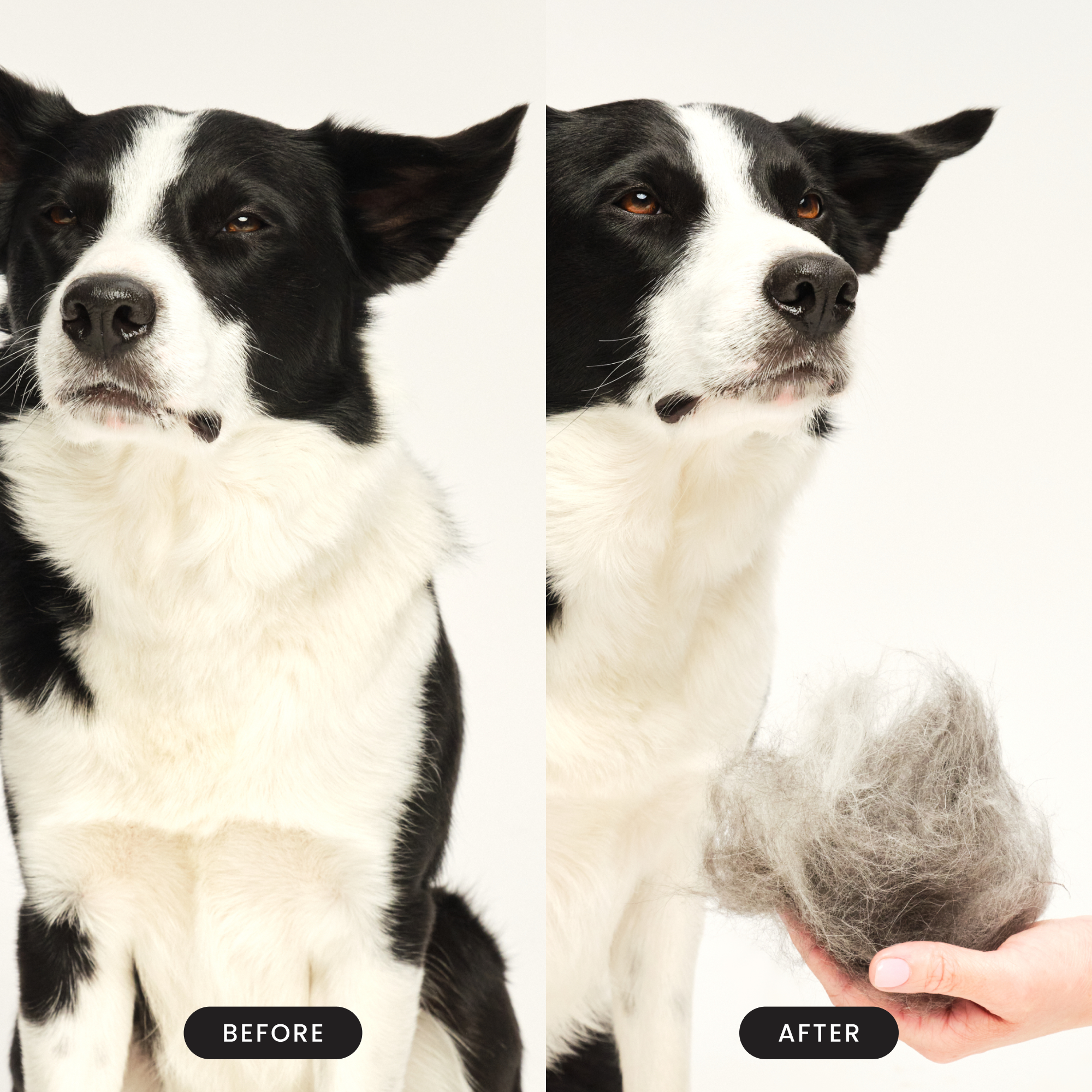tangle-teezer-de-shedding-hundeb-rste-palm-grooming-b-rste-f-r-doppelmantel-hund image 7